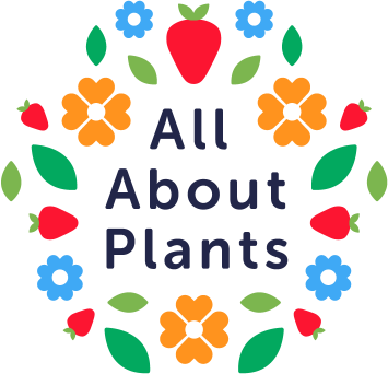 All About Plants